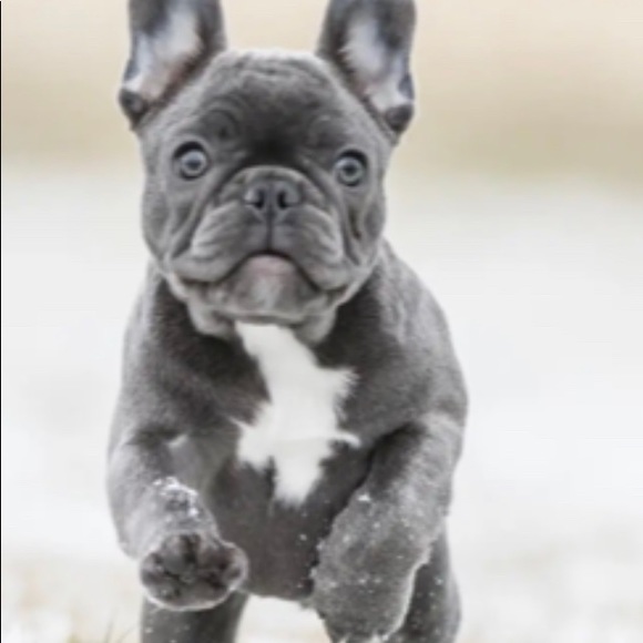 Namaste🌈 - Picture 1 of 9